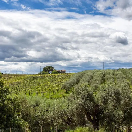 Casa vacanze Punta Ferruccio