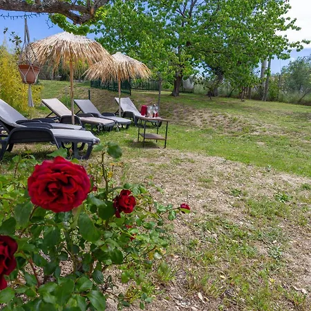 Punta Ferruccio Casa vacanze *