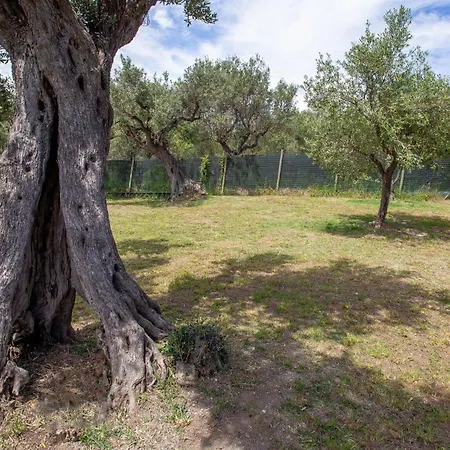 Punta Ferruccio Ortona