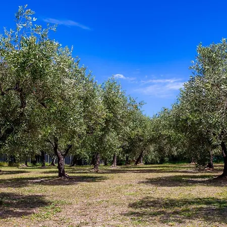 Дом отдыха Punta Ferruccio Ортона