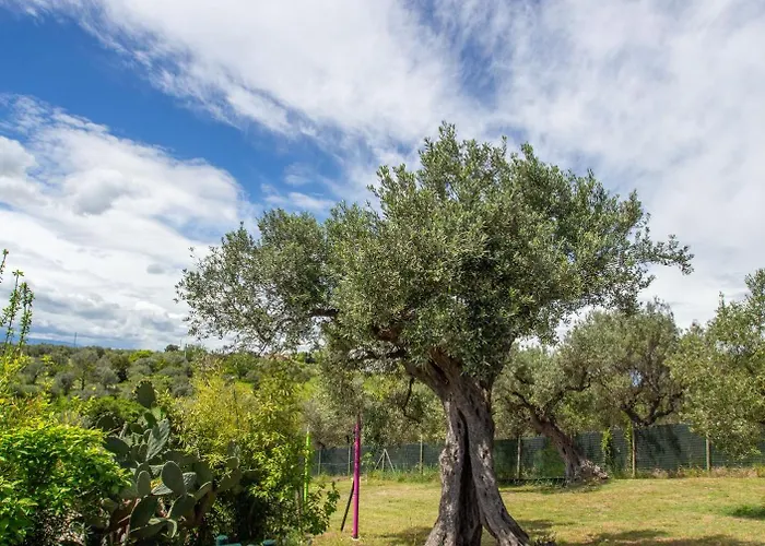 Holiday home Punta Ferruccio *