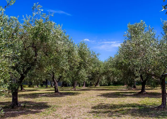 Holiday home Punta Ferruccio Ortona