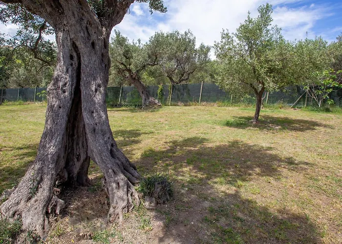 Punta Ferruccio Ortona